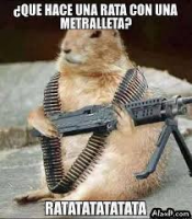 /album/losmejoresvideos-webnode-net/hamster-metralleta-png/